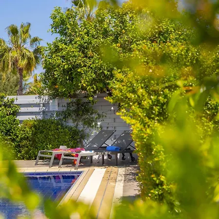 Villa Azure Luxury Pool *