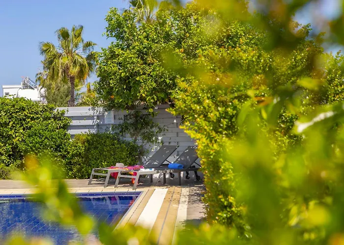 וילה Azure Luxury Pool *